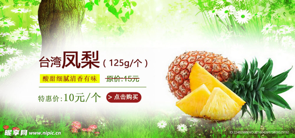 凤梨