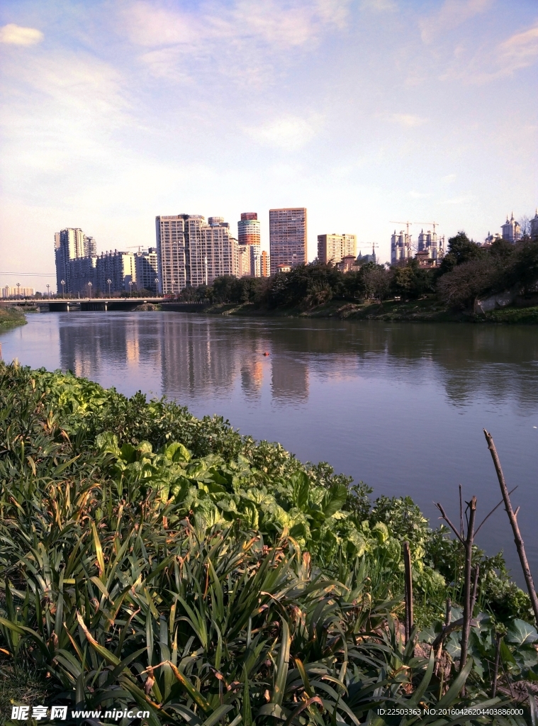 城市河流