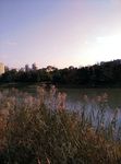 城市河流
