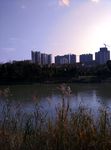城市河流