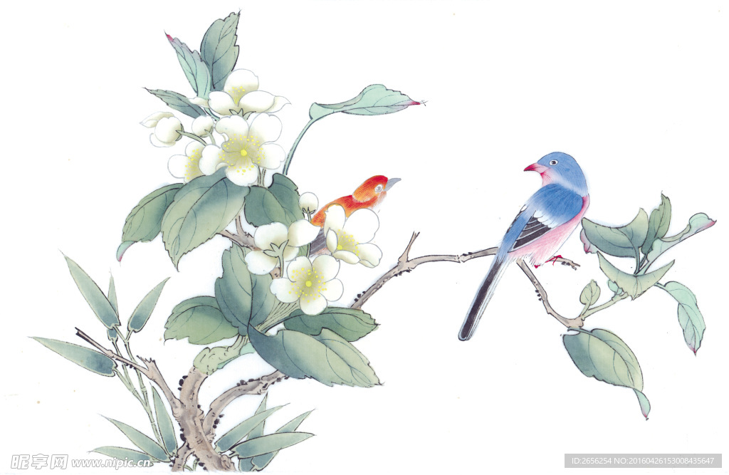 白色花朵和喜鹊