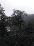 天门山风景
