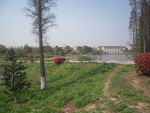 贡湖湾湿地公园