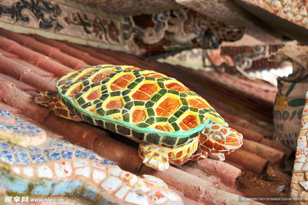 瓷砖乌龟