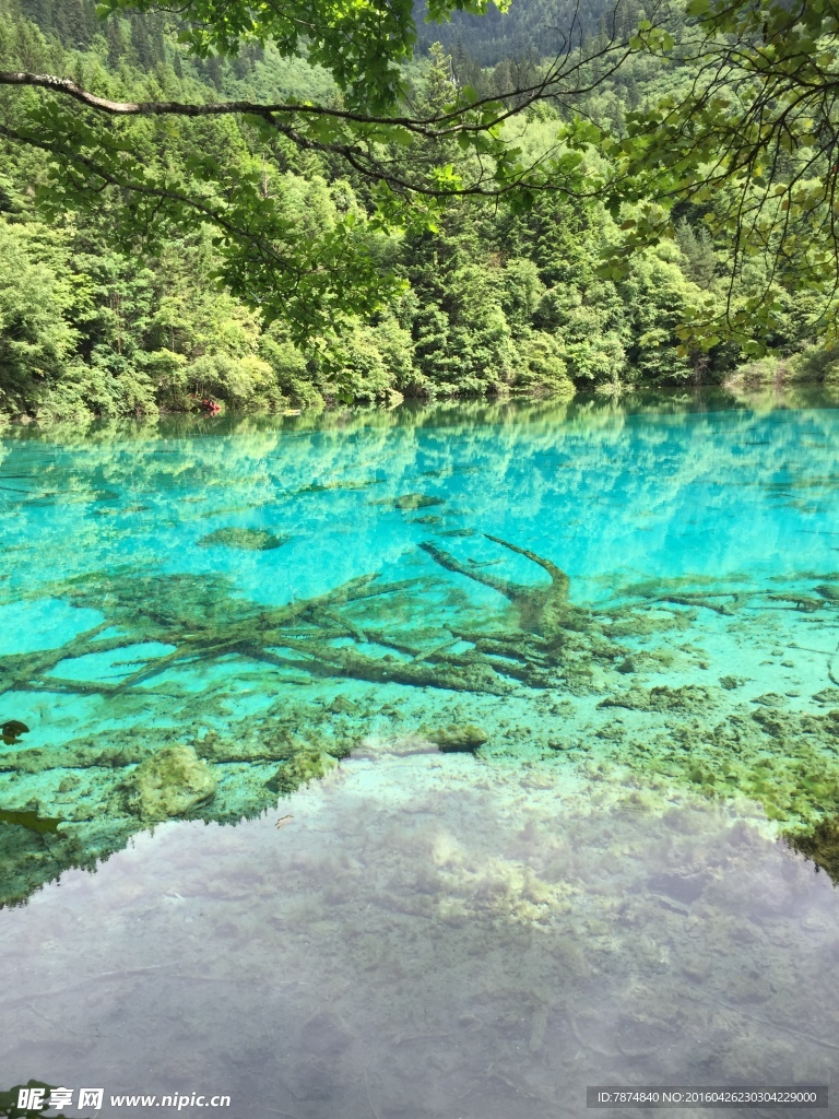 九寨沟