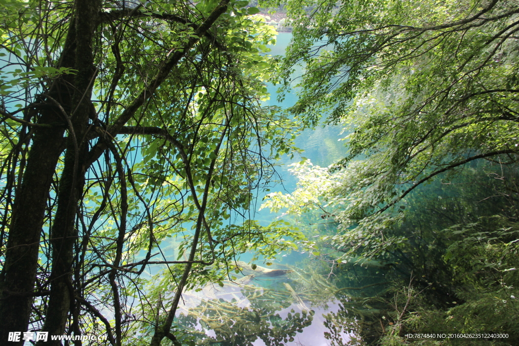 九寨沟