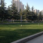 早春的城市花园