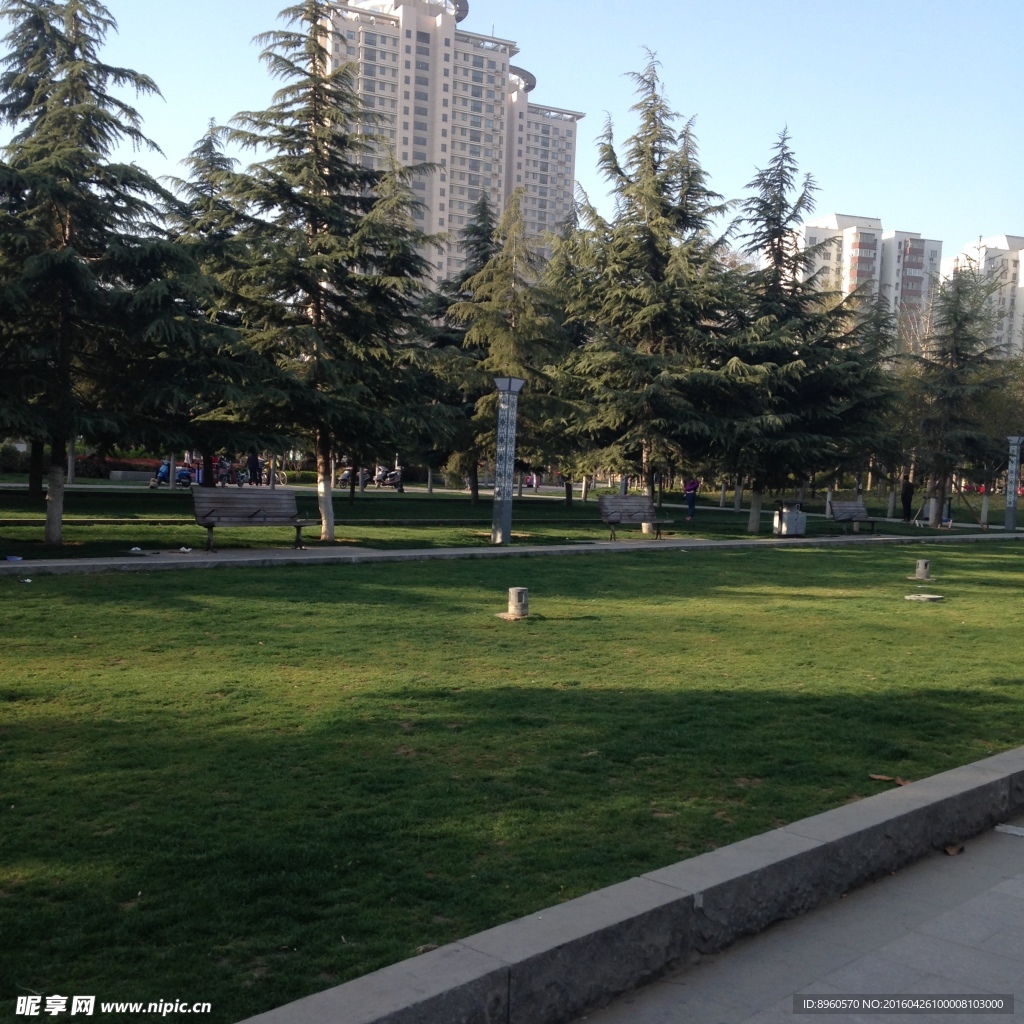 早春的城市花园