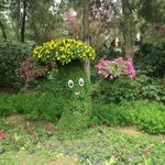 花树