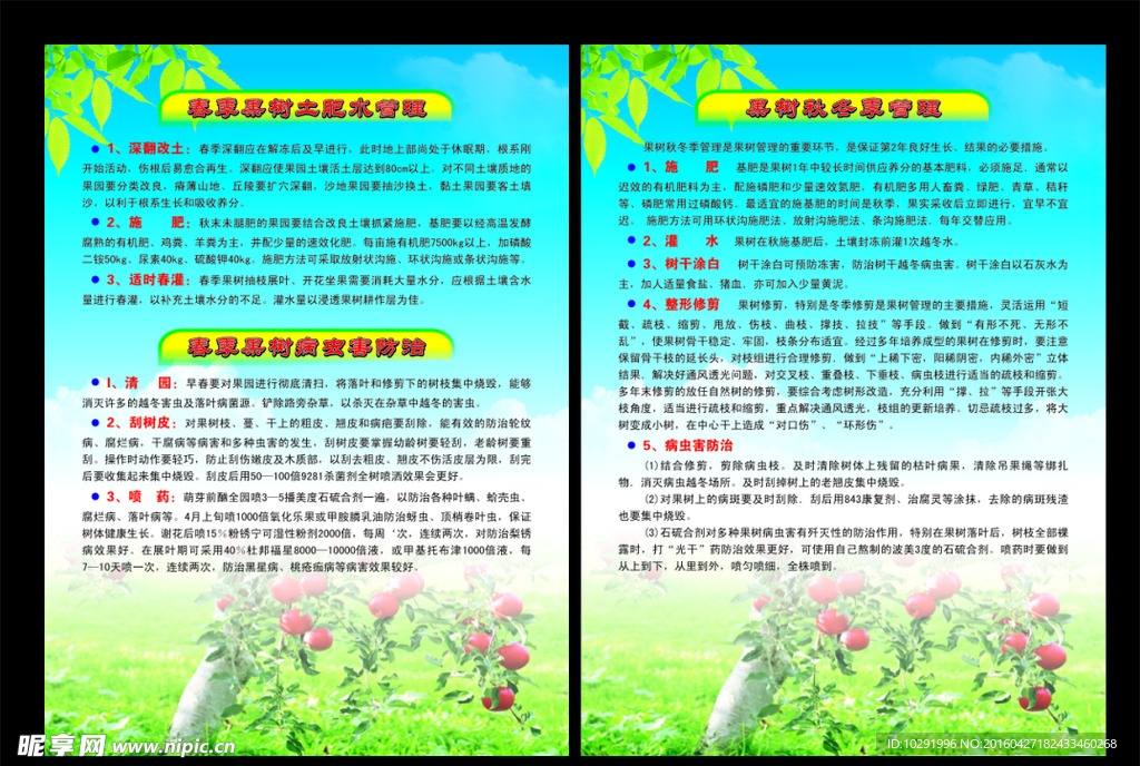 果树宣传单