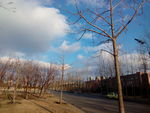 辽宁大学