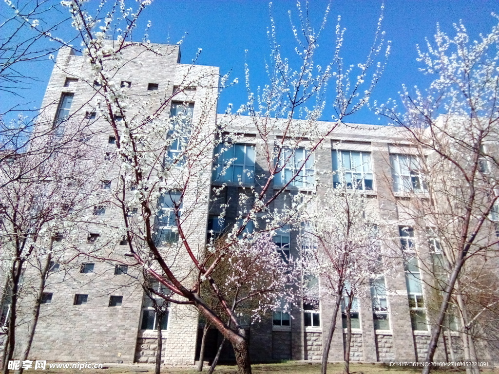 辽宁大学