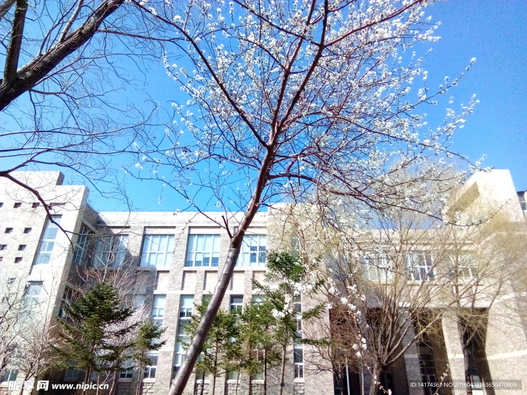 方圆楼