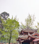 都江堰
