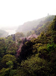 都江堰