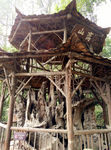 都江堰