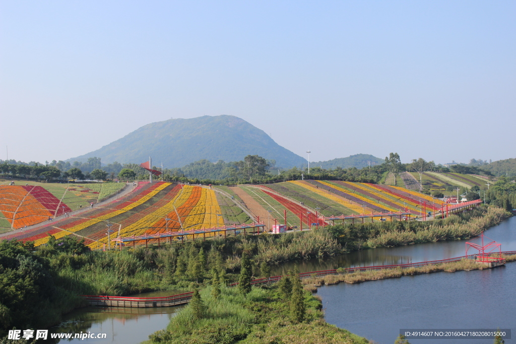 百花争艳