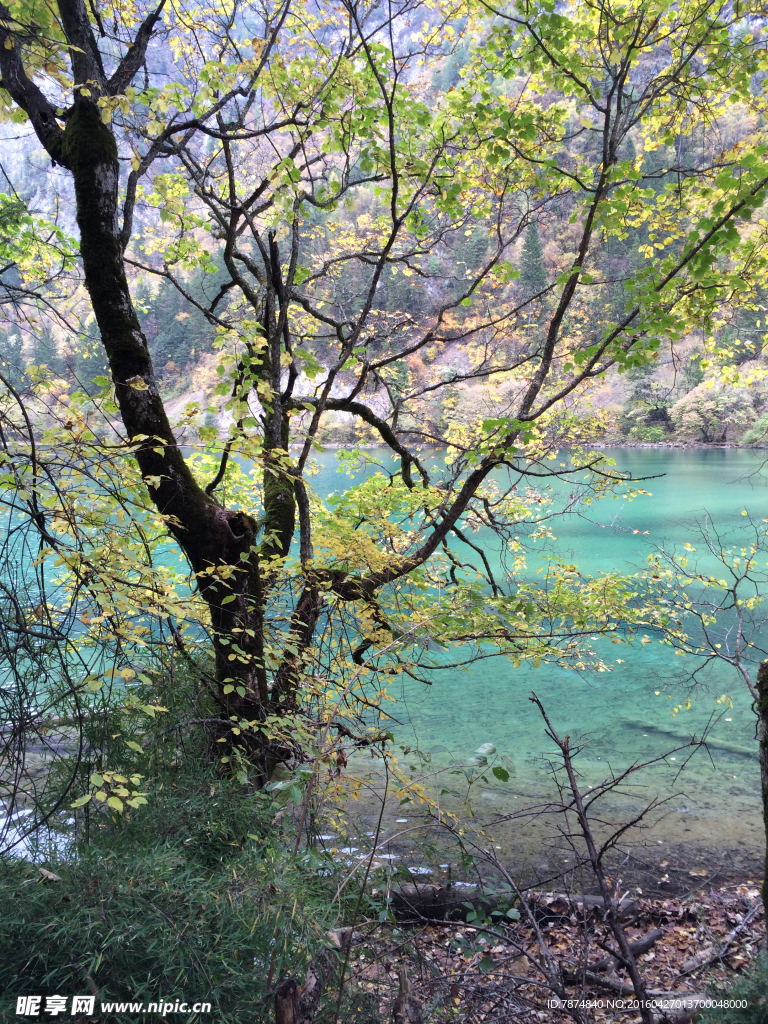 九寨沟
