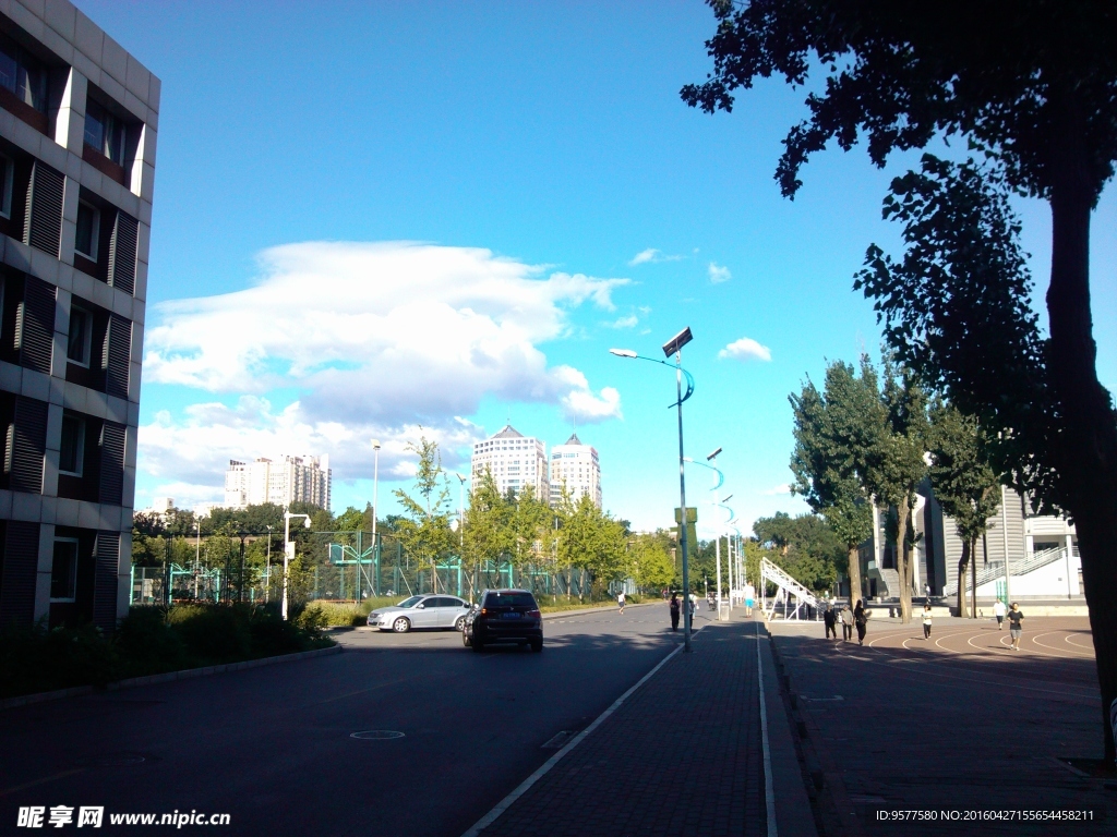 中国农业大学国际学院