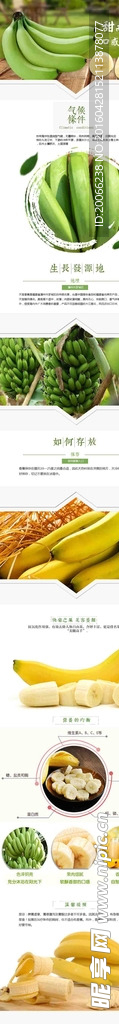 淘宝模板 绿色水果 香蕉