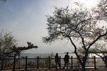 海边的情侣