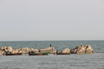 大海
