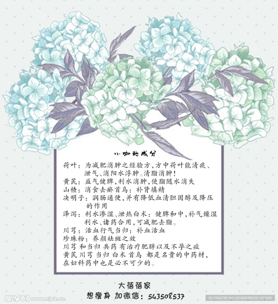 蓝色手绘清新绣球花朵背景