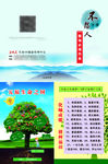 苹果树