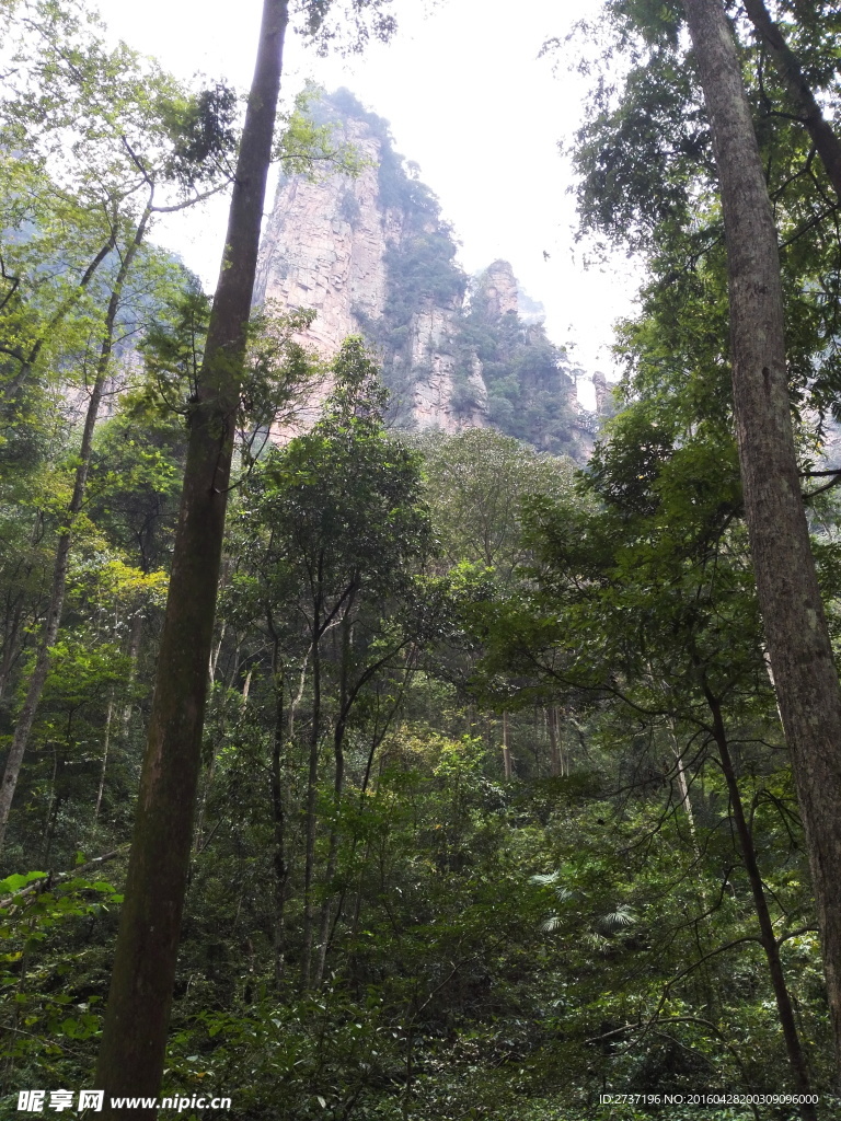 张家界武陵源风景