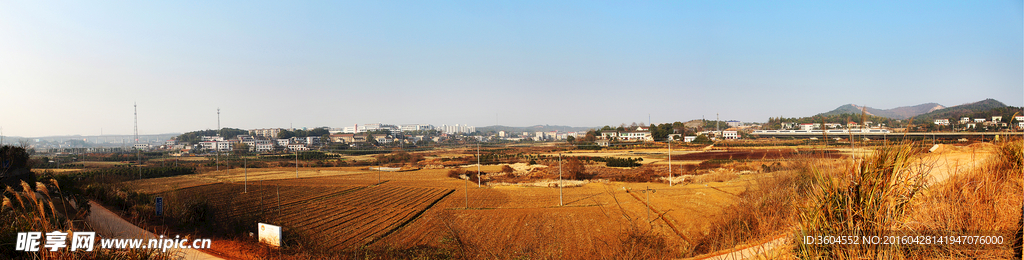 长沙新田村全景图