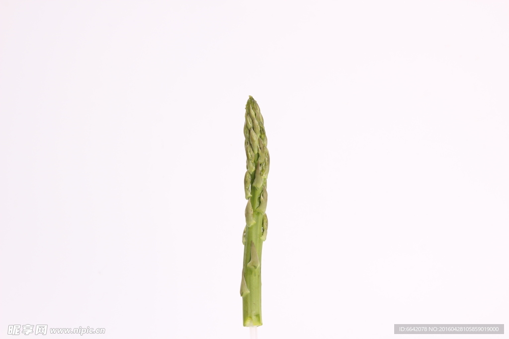 芦笋
