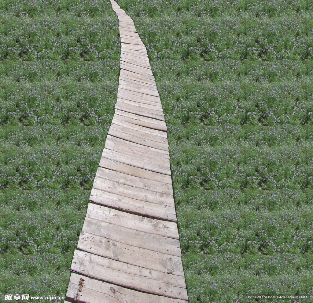 爱丽舍3D晶彩砖地画