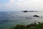 大海