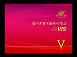 泸洲老窖VI