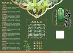 铁皮石斛