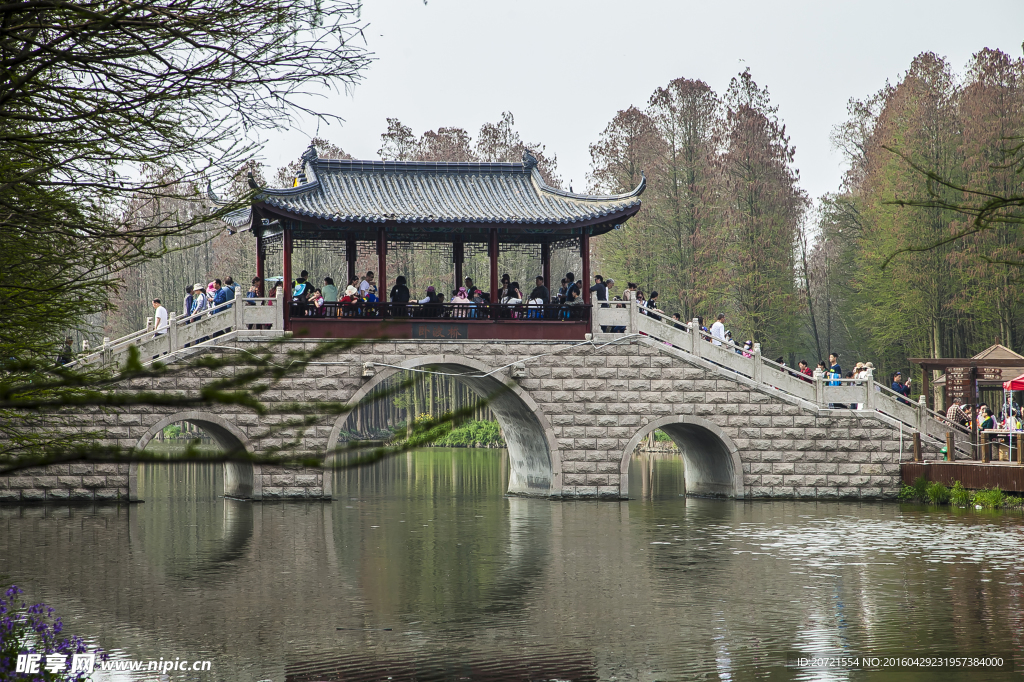 李中水上森林公园