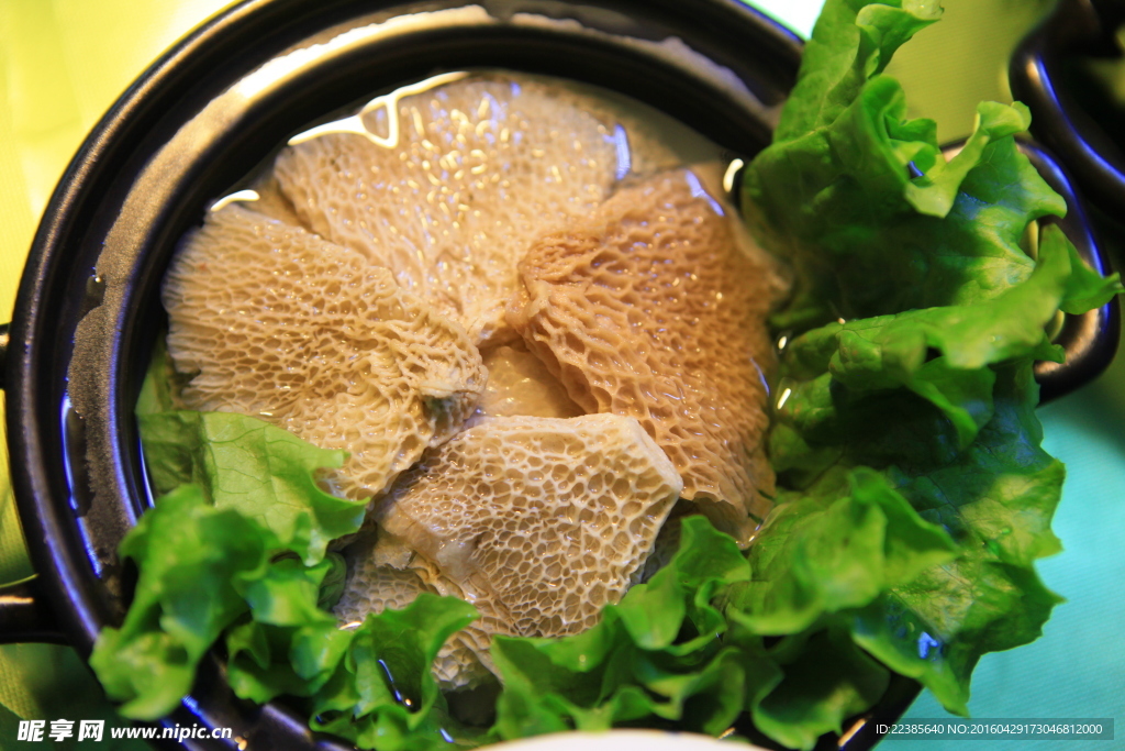菌类 美味