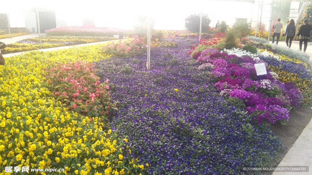 鲜花