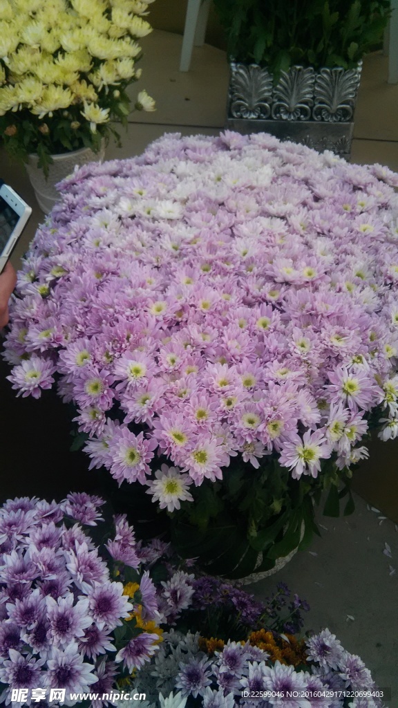 鲜花