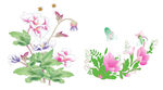 手绘牡丹 花朵花藤