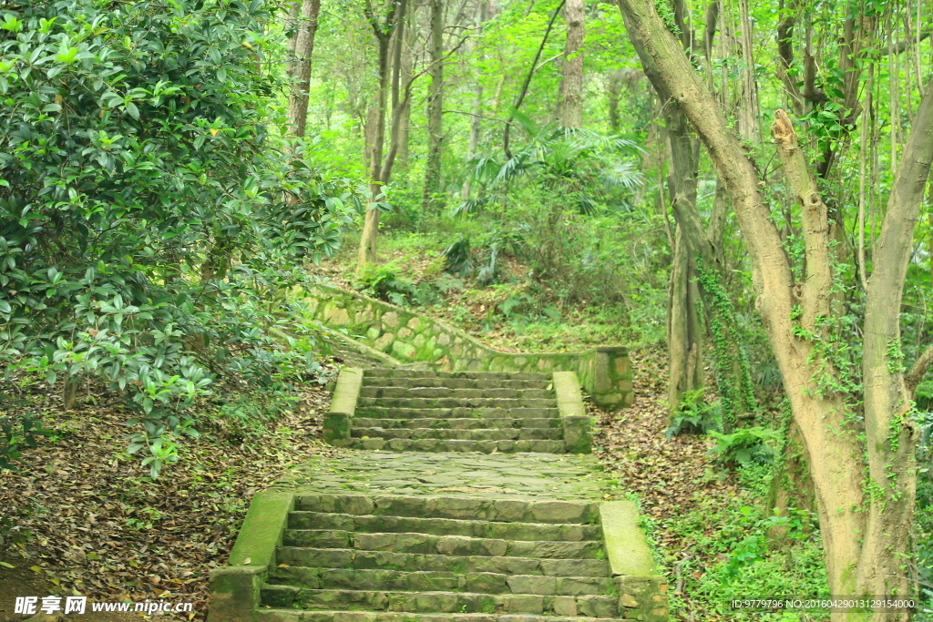 隐路