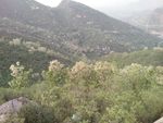 自然山景