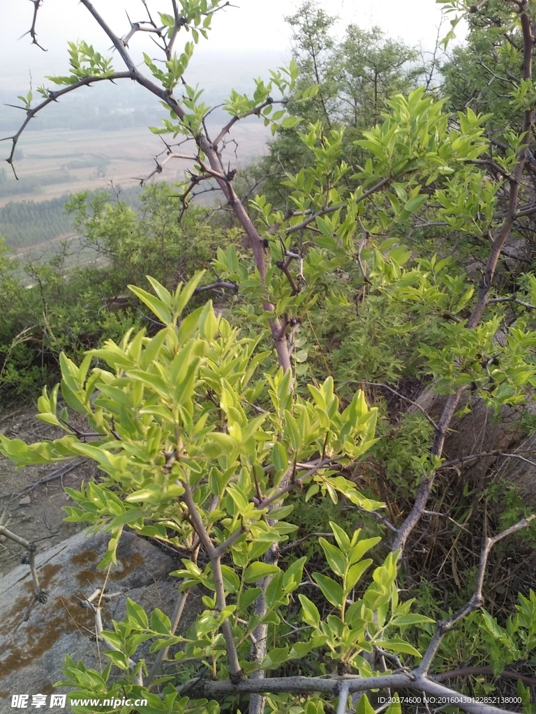 自然风景