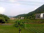 小山村