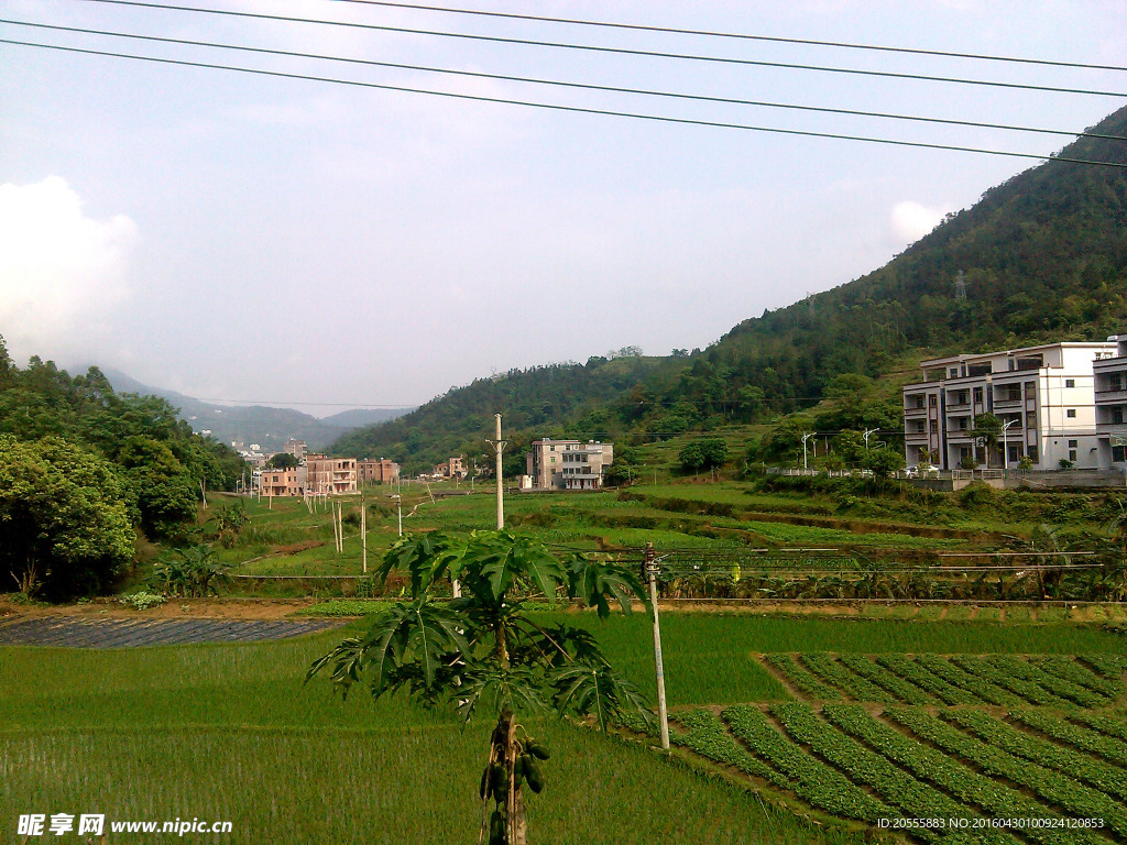 小山村
