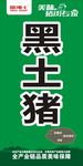黑土猪 膳博士