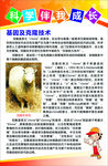基因及克隆技术科普知识