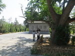 会善寺风景