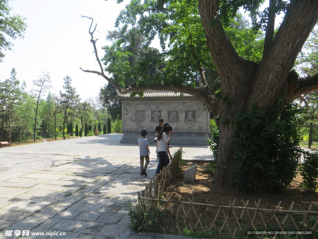 会善寺风景