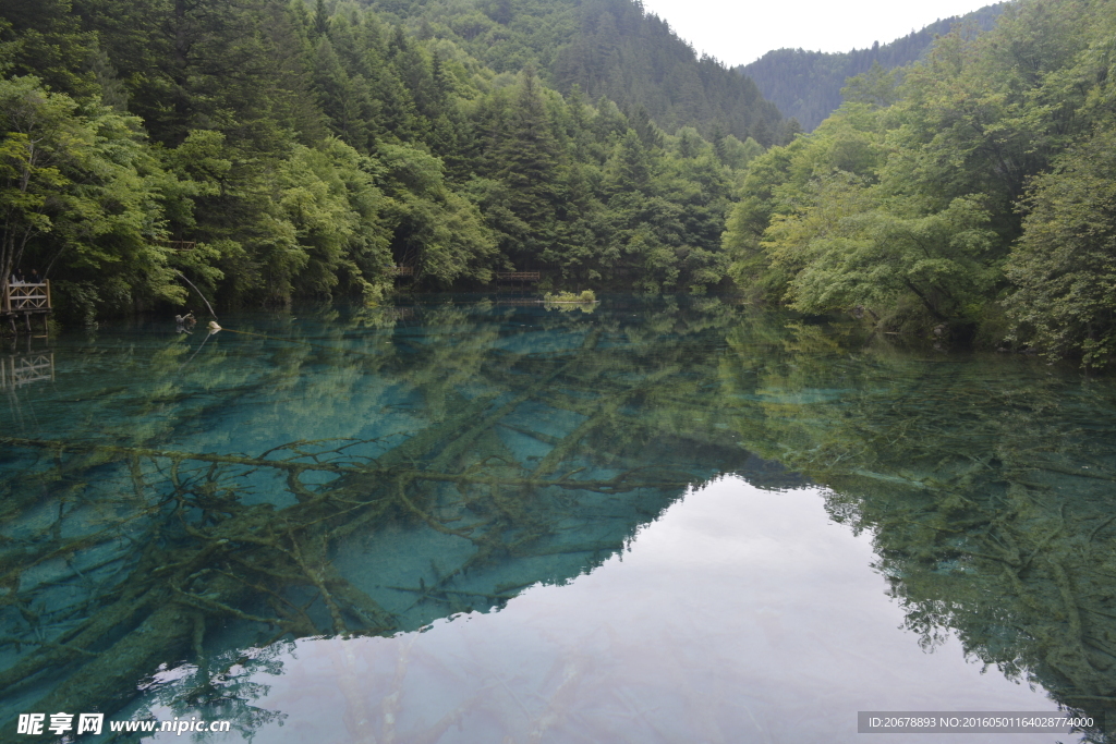 九寨沟五花海